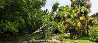 Italian Stay: Bacchereto Wine Country