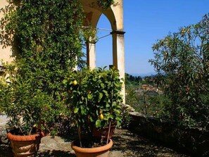 Property grounds - Italian Stay: Bacchereto Wine Country (Carmignano)