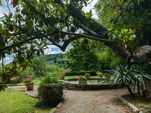A garden with a gravel path, potted plants, and a large tree.