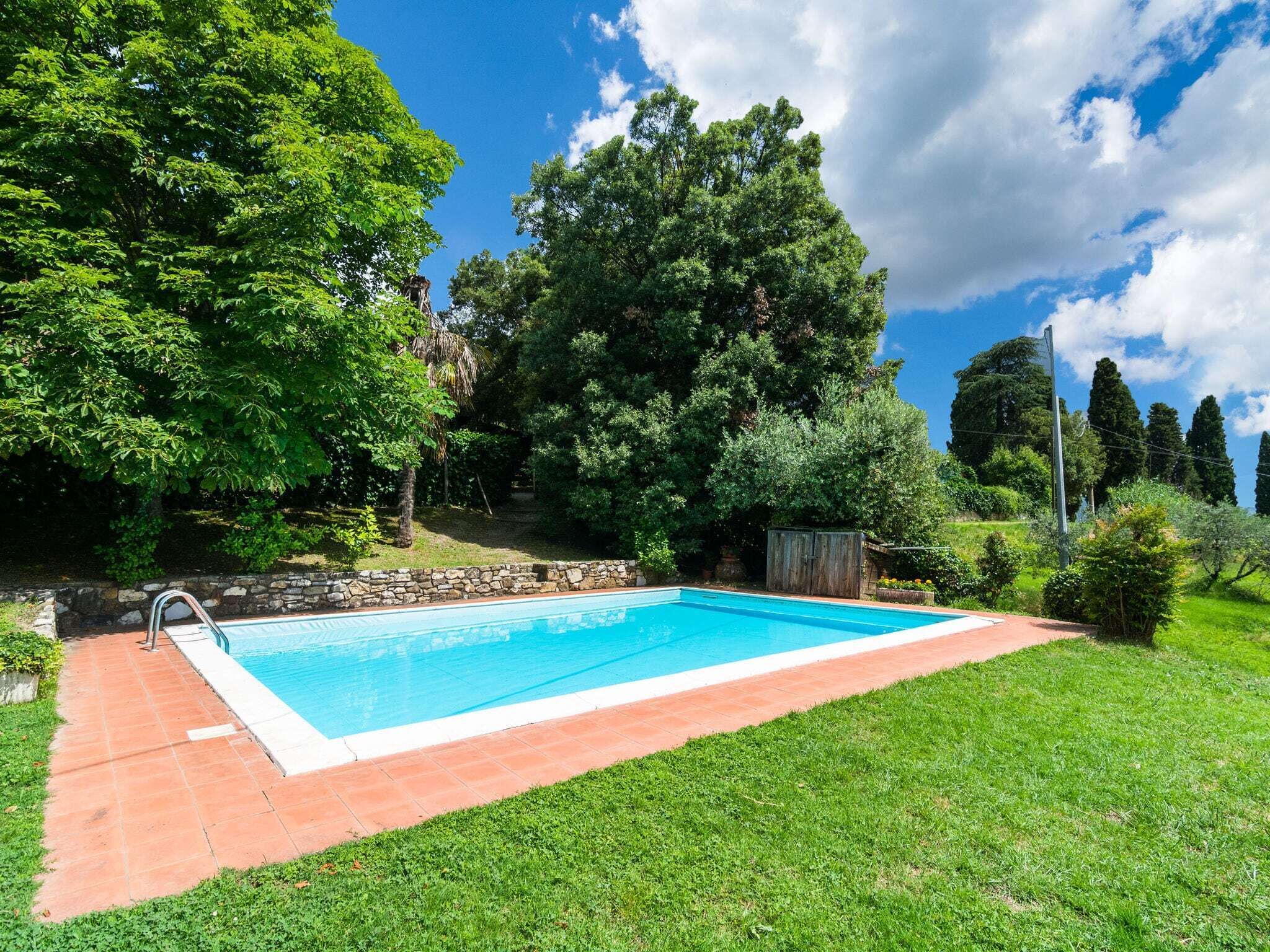 A rectangular swimming pool with a stone wall and a metal ladder on one side, surrounded by a well-maintained lawn and various trees.