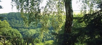 Morbach Hillside Mansion