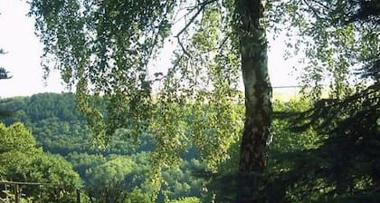 Mansión Morbach Hillside