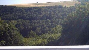 A view of a hilly landscape with dense forest and a white building in the foreground.