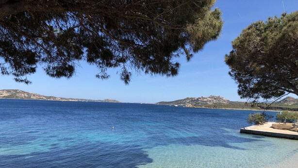 A clear coastal view with a wooden pier extending into the sea, surrounded by trees and a distant mountain range.
