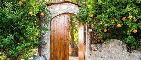 Details aan de buitenkant