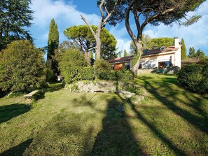 Property grounds - Elegant Countryside Villa (Montefiascone)