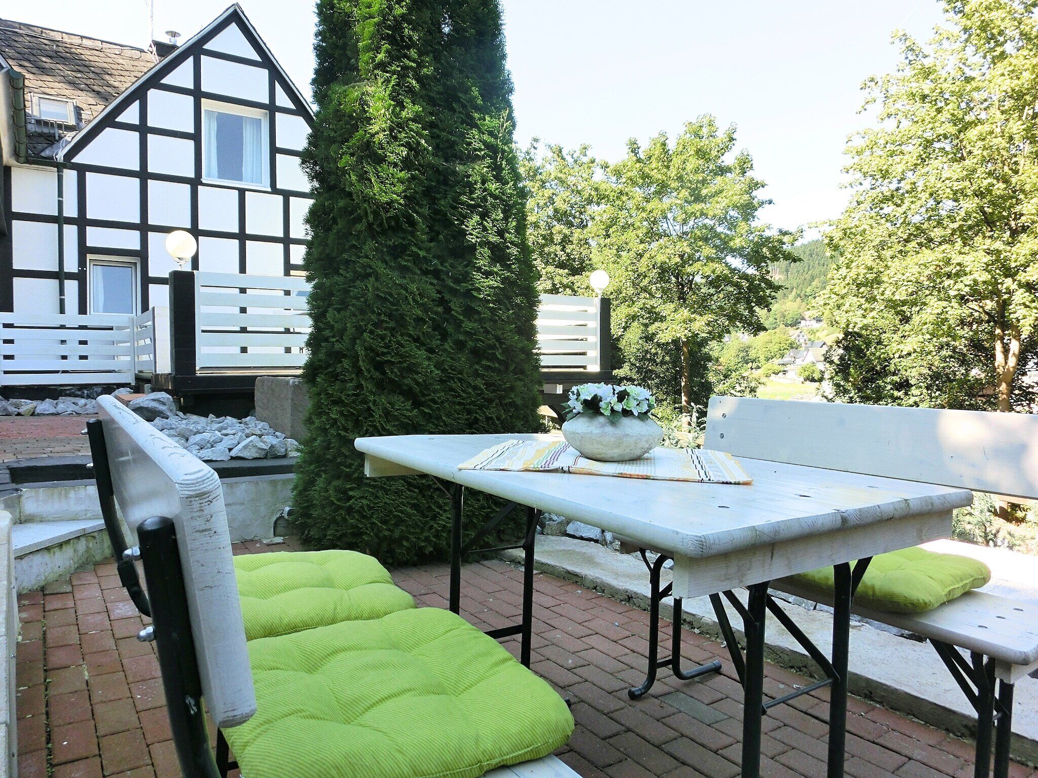 An outdoor patio with a table and chairs, a potted plant, and a tall tree.