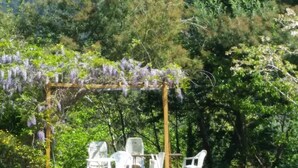 A pool area with a pergola covered in purple flowers, surrounded by white chairs and a table.