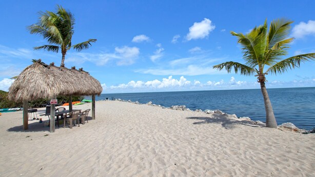 A beach with a thatched hut and palm trees, a sandy shore, and a calm sea. - Reel Paradise at Sea Gulls (Tavernier)