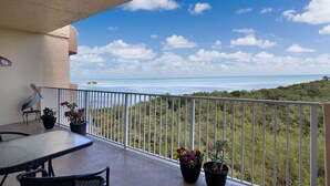 A balcony with a view of the ocean, potted plants, and a table with chairs. - Reel Paradise at Sea Gulls (Tavernier)