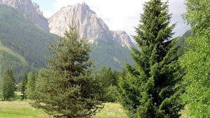 A grassy field with two evergreen trees and a mountain range in the background.