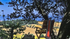 Un espacio de estar al aire libre rústico con una silla y una mesa de madera, rodeado de árboles y vistas a un viñedo.