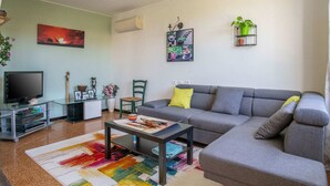 A living room with a grey sofa, a coffee table, a TV, and a colorful rug. - Pretty holiday home with garden and hot tub (Bédoin)