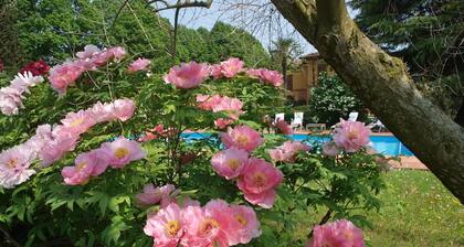Family Getaway in Emilia-Romagna