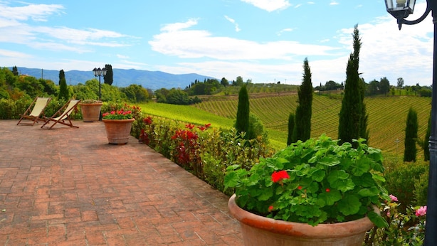 Un espace extérieur aménagé avec un revêtement pavé, des plantes en pot et une vue sur des vignobles en arrière-plan.