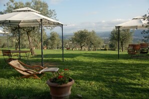 Restauration en plein air
