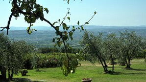 Un paysage verdoyant et luxuriant, avec une vue sur des collines lointaines et un ciel dégagé.