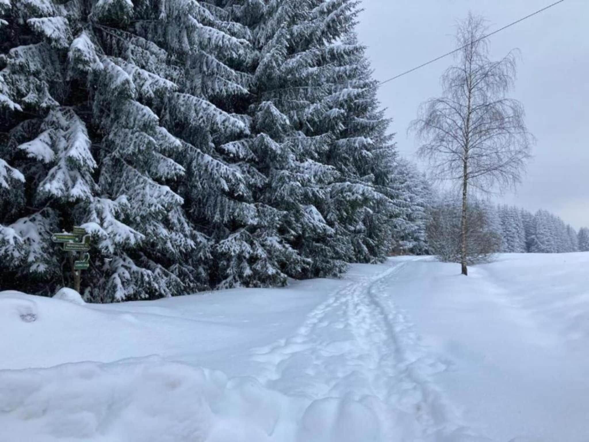 A snow-covered road with a signpost indicating directions.