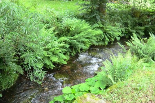 Charming Apartment, Harz Region