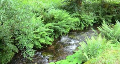 Charming Apartment, Harz Region