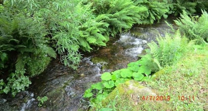 Charming Apartment, Harz Region