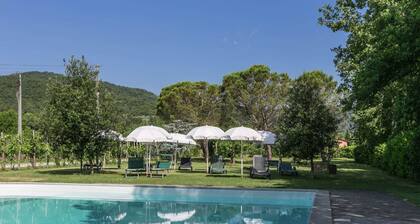 Authentic farmhouse with pool