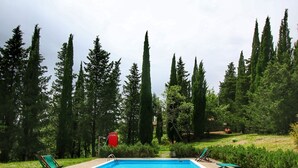 A rectangular swimming pool with a stone deck, surrounded by tall trees and a grassy area. - Quaint cottage with pool (Anghiari)