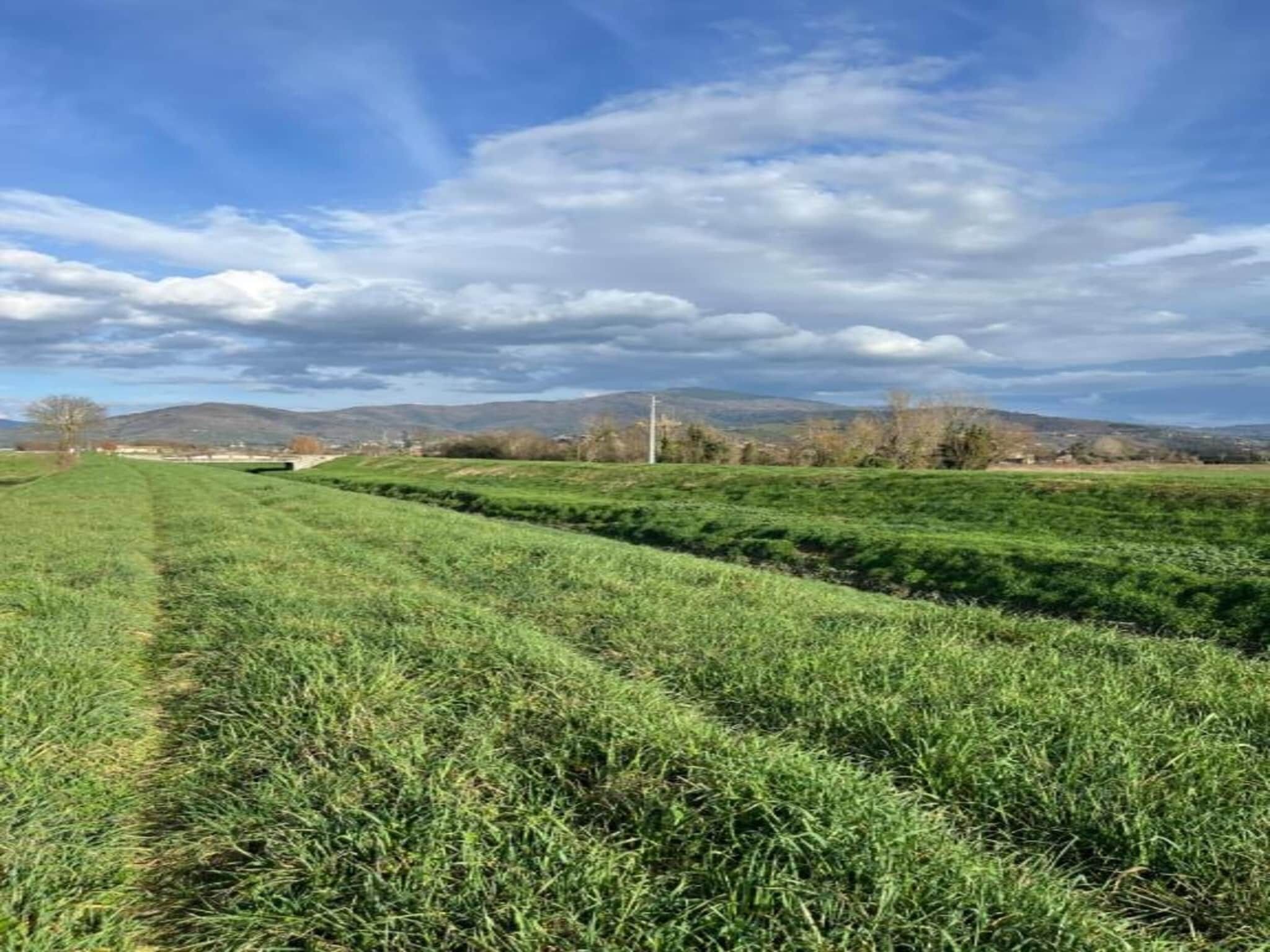 Region [summer] (>5 km)