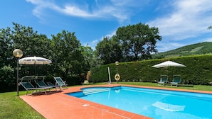 A swimming pool with lounge chairs and umbrellas, surrounded by greenery and hills. - Agriturismo Tuscany with Panoramic Pool (Castiglion Fiorentino)