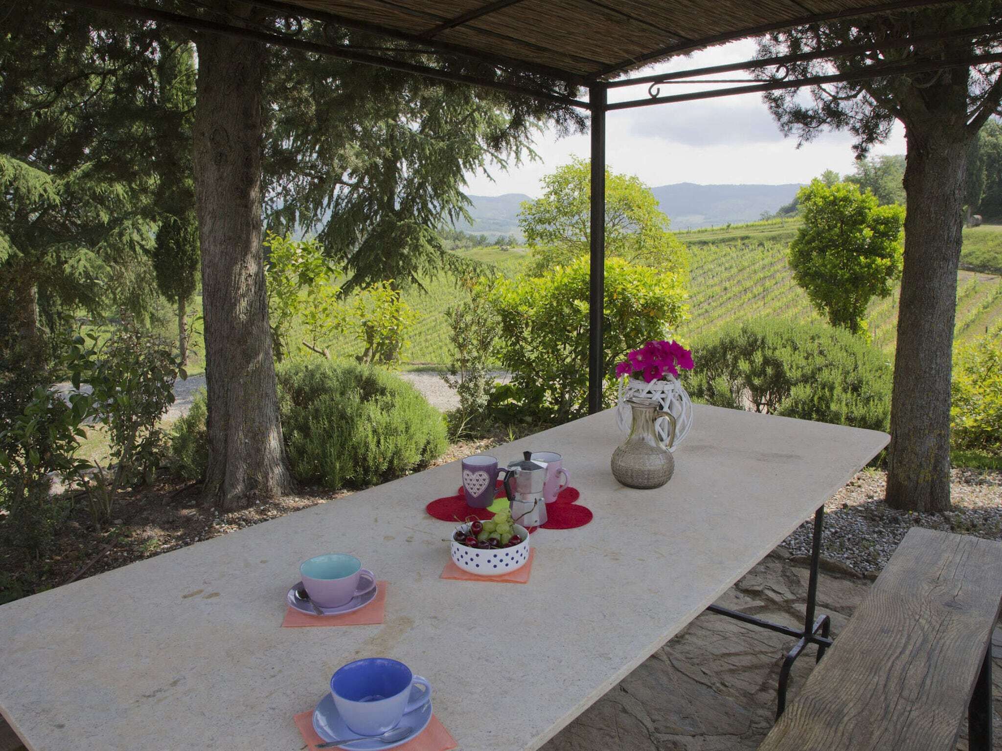 An outdoor table set with cups, a vase with flowers, and a bowl of fruit in a vineyard setting.