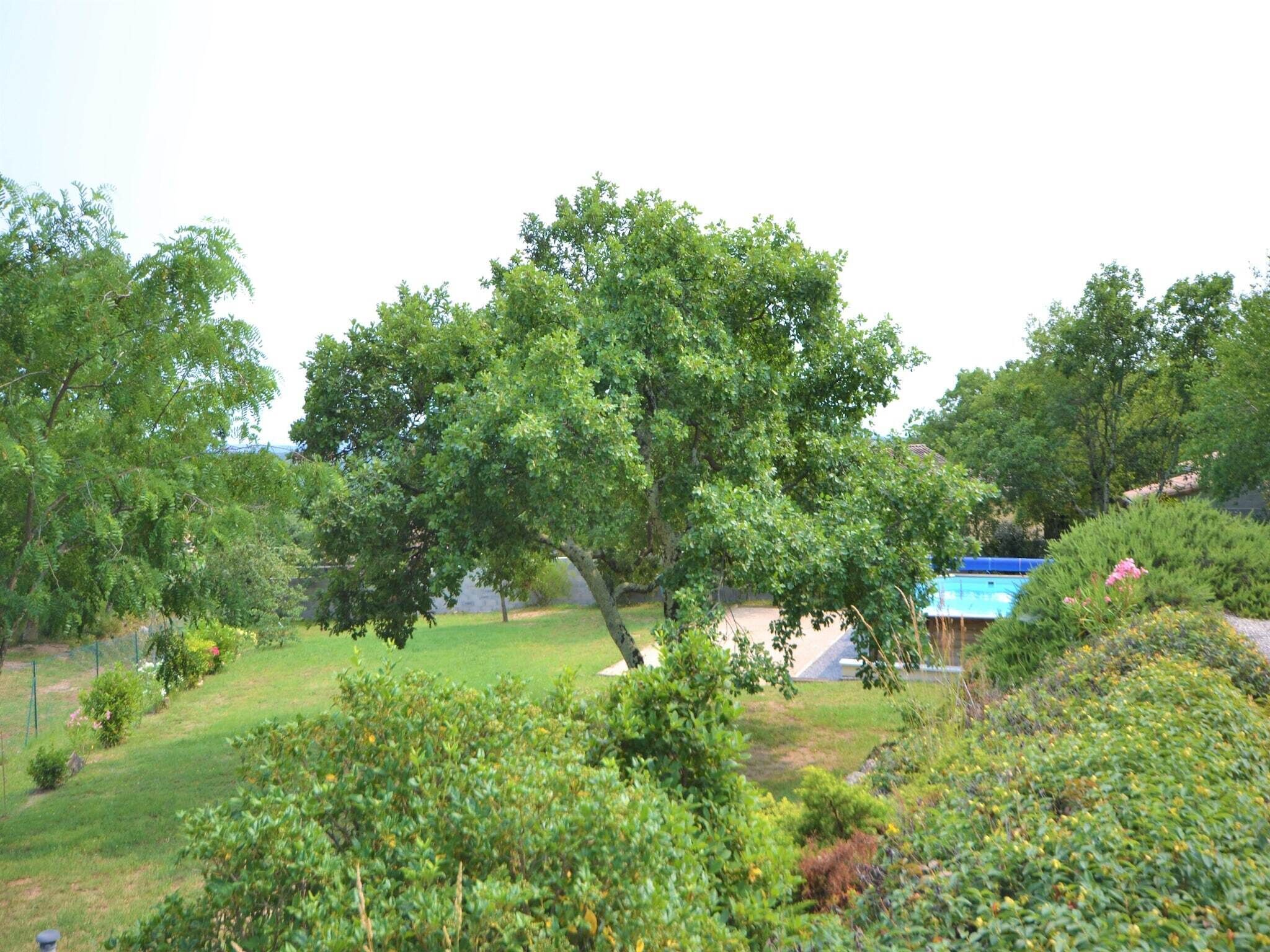 Un jardin luxuriant, avec une grande variété d’arbres et d’arbustes, un ciel dégagé et un bâtiment bleu en arrière-plan.