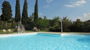Ein klares, blaues Schwimmbecken mit Liegestühlen und hohen Bäumen im Hintergrund.