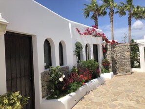 Detalle exterior