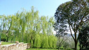 Een verzorgde tuin met diverse bomen, waaronder huilwilgen en een grote boom met weelderig blad. Een stenen muur begrenst de tuin, en het gras is weelderig groen.