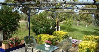 Holiday Home in Herrera near Tajo River