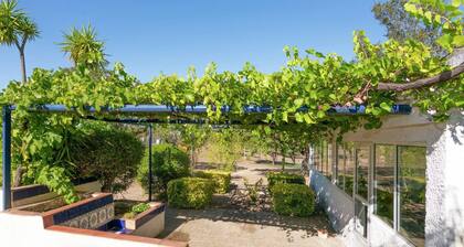 Holiday Home in Tajo with Pool, Terrace