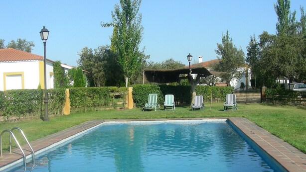 A rectangular swimming pool with a tiled edge, surrounded by a grassy area with several lounge chairs.