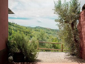 Property grounds - Pet-Friendly Getaway (Castagneto Carducci)
