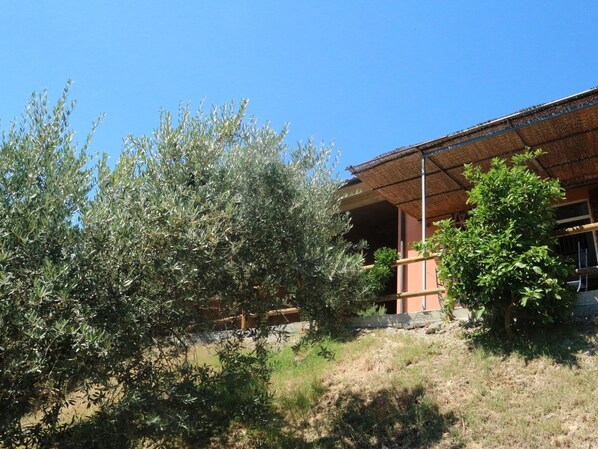 A building with a covered outdoor area, surrounded by olive trees and a grassy area. - Pet-Friendly Getaway, Castagneto Carducci (Castagneto Carducci)