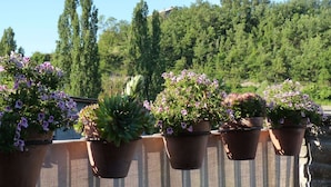 Potted plants with purple flowers on a balcony with a view of a forested hillside. - Belvilla by OYO Casa Vella (Castigaleu)