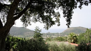 Terrain de l’hébergement