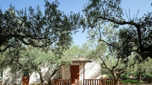 A small, rustic building with a wooden door and a balcony, surrounded by olive trees.