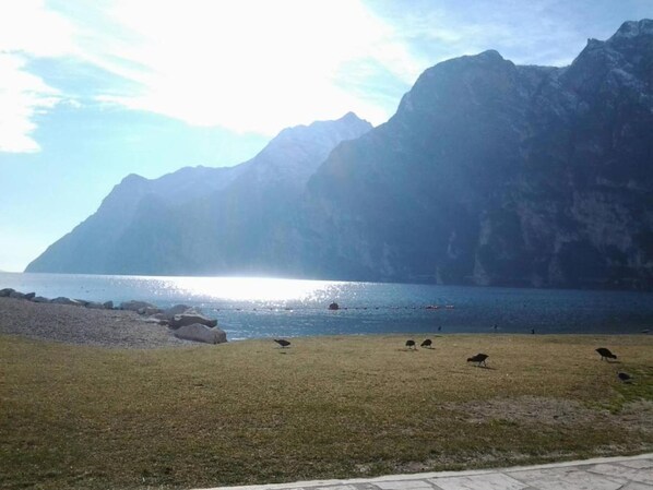 Strand
