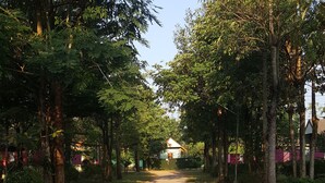Ein Feldweg, gesäumt von Bäumen, der zu einem Gebäude führt.