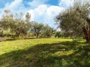 Property grounds - Home in Tuoro sul Trasimeno near Lago Trasimeno (Tuoro sul Trasimeno)