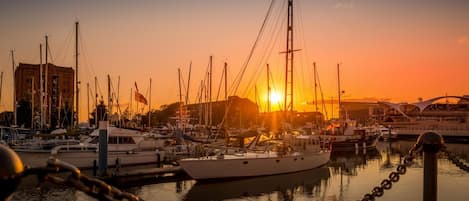 Marina