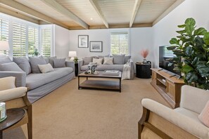 Televisión y chimenea 