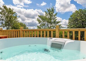 Imagen sin descripción, 4 de 11, botón