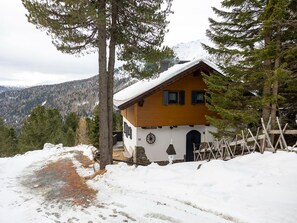 Holiday Home Exterior [winter] - Chalet in Turracher Höhe near Ski Slopes (Turracher Höhe)