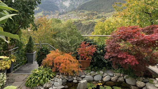 Un jardí amb varietat de plantes i un camí de pedra que condueix a una vista d'una vall i muntanyes.